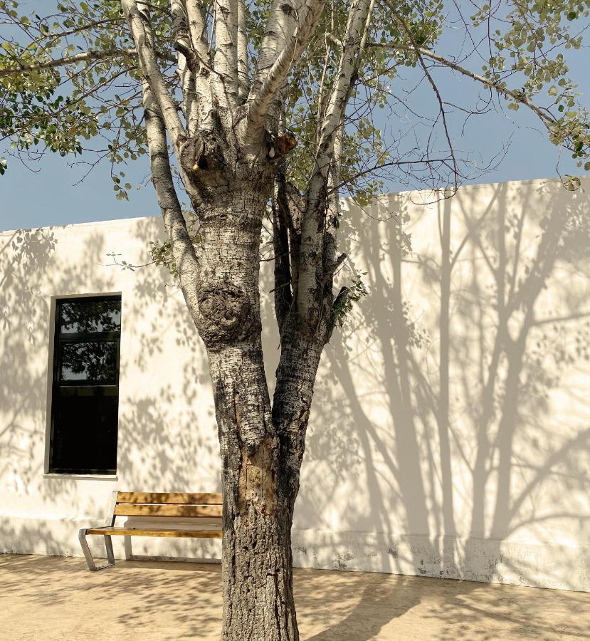 Mareleon Camping Ofrinion Exterior photo